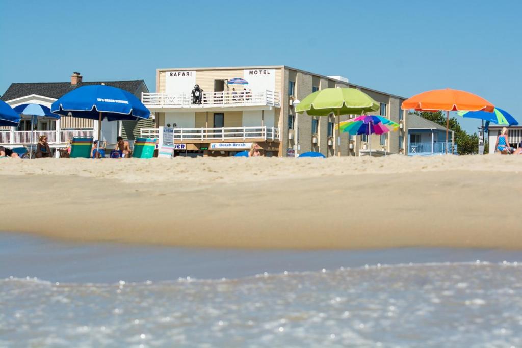 Safari Hotel Boardwalk - main image