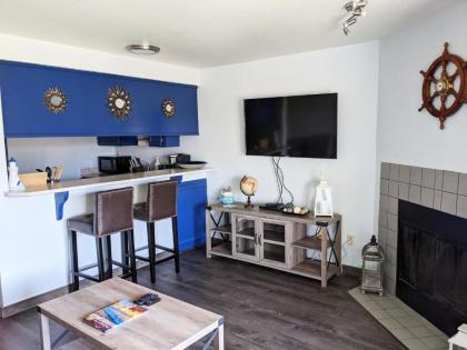 Aurora at Nautilus - Pet Friendly Oceanfront Condo