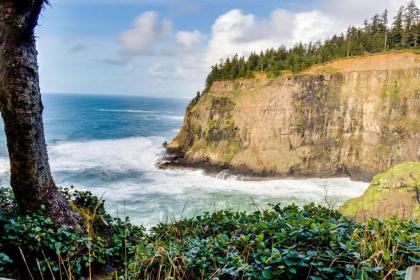 Berni's Ocean View Castle - The Potter's Wheel - image 9