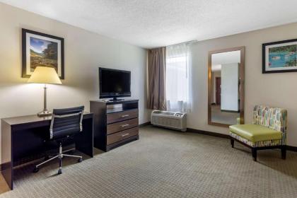 Quality Inn - image 12