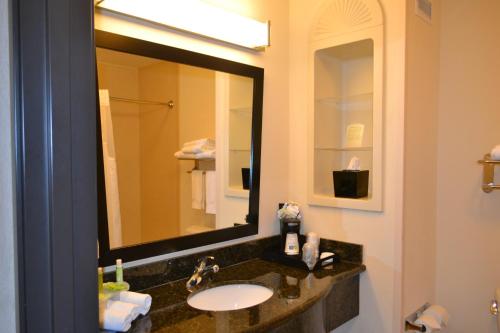 Holiday Inn Express Hotel and Suites - Odessa an IHG Hotel - image 2