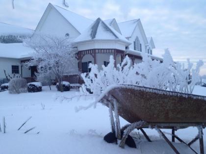 Green Gables Bed & Breakfast - image 8