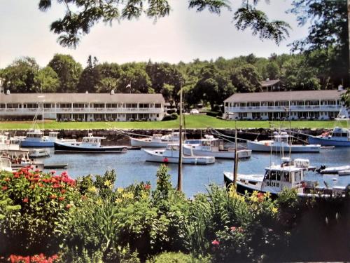 Auberge on the Cove - main image