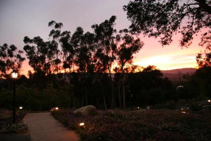 Ojai Retreat & Inn - image 11