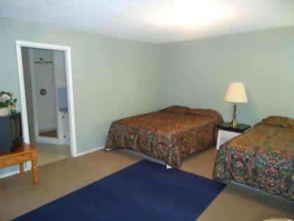 Blue Mountain Motel - image 5