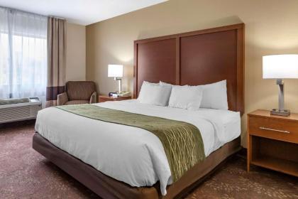 Comfort Inn Okemos - East Lansing - image 10