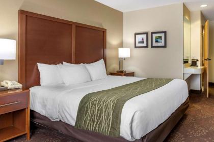 Comfort Inn Okemos - East Lansing - image 12