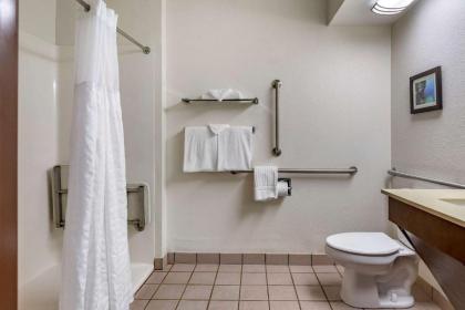 Comfort Inn Okemos - East Lansing - image 13