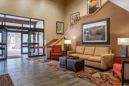 Comfort Inn Okemos - East Lansing - image 8