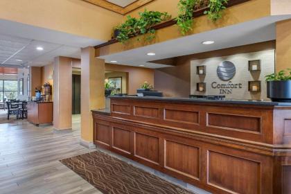 Comfort Inn Okemos - East Lansing - image 9