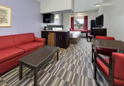 Microtel Inn & Suites by Wyndham Oklahoma City Airport - image 2