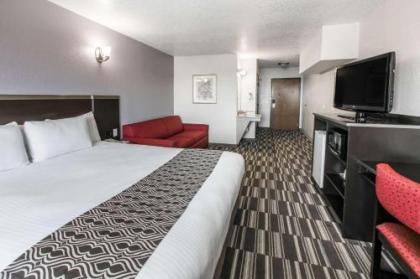 Microtel Inn & Suites by Wyndham Oklahoma City Airport - image 4