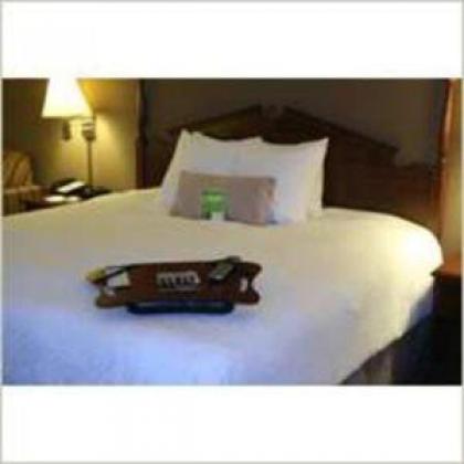 Hampton Inn Olathe - image 13