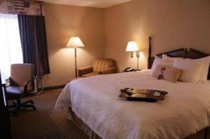 Hampton Inn Olathe - image 3