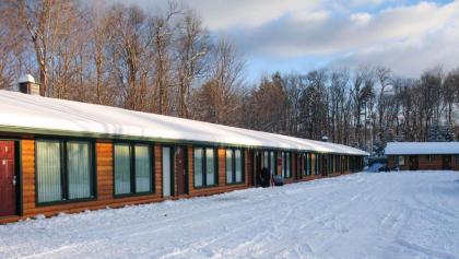 Adirondack Lodge Old Forge - image 7