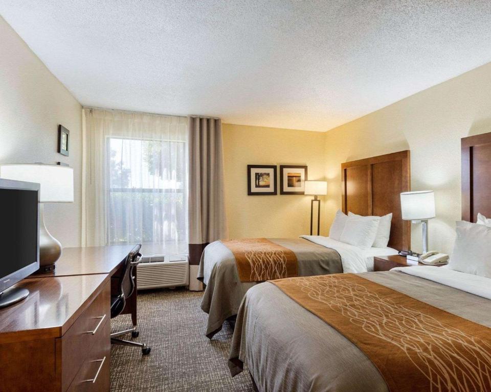 Quality Inn Olive Branch - image 5