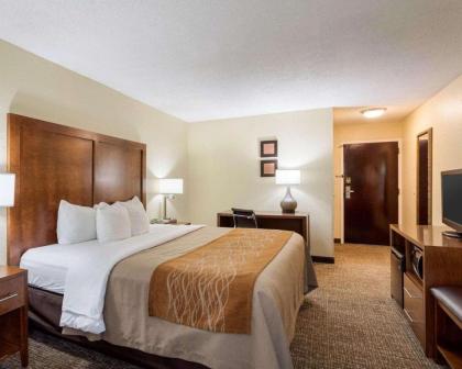 Quality Inn Olive Branch - image 9