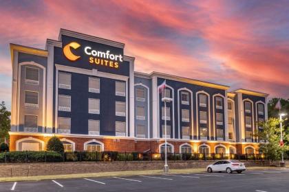 Comfort Suites Olive Branch - image 10