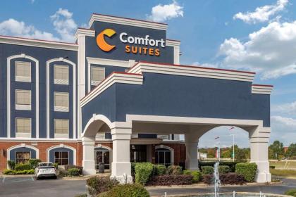 Comfort Suites Olive Branch - image 12