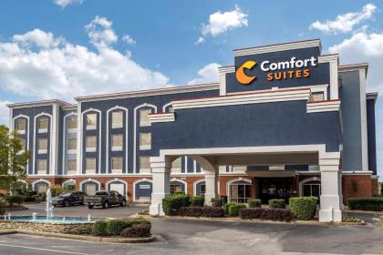 Comfort Suites Olive Branch - image 13