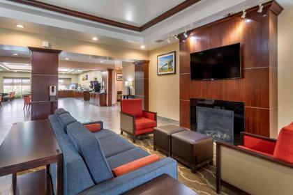 Comfort Suites Olive Branch - image 14