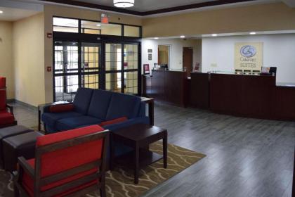 Comfort Suites Olive Branch - image 2