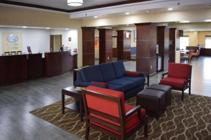 Comfort Suites Olive Branch - image 3