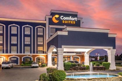 Comfort Suites Olive Branch - image 8