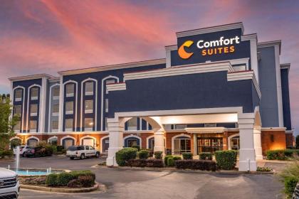 Comfort Suites Olive Branch - image 9