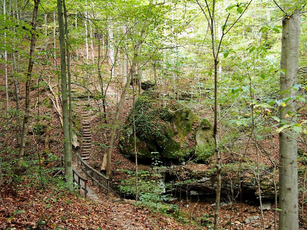 Carter Caves State Resort Park - image 4