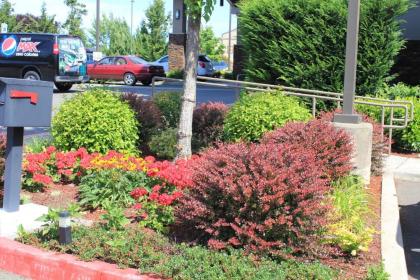 Best Western Plus Lacey Inn & Suites - image 5