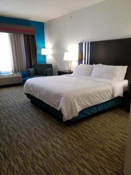 Holiday Inn Express Hotel & Suites Omaha West an IHG Hotel - image 4