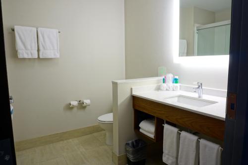 Holiday Inn Express & Suites Omaha - Millard Area an IHG Hotel - image 4