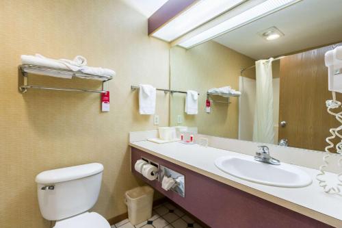 Econo Lodge Inn & Suites Omaha - La Vista/Gretna Area - image 3