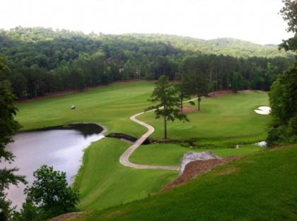 Limestone Springs Cottage on the Course Unit A - image 3