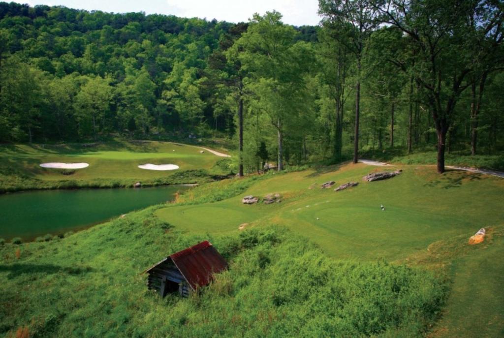 Limestone Springs Cottage on the Course Unit A - image 6