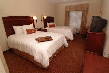 Hampton Inn Oneonta - image 6