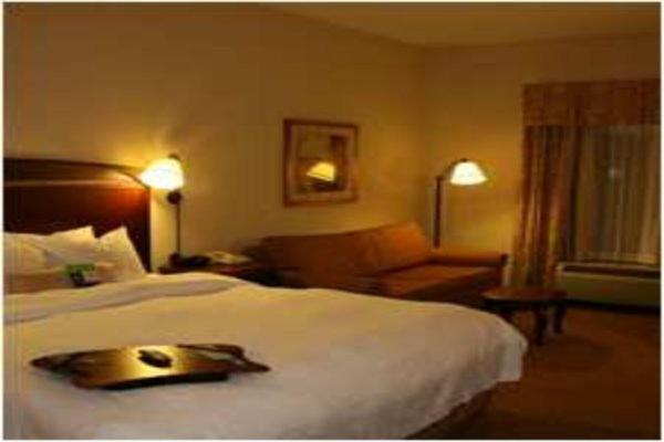 Hampton Inn Oneonta - image 7