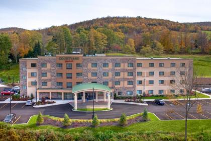 Courtyard by marriott Oneonta New York