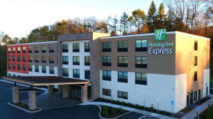 Holiday Inn Express - Oneonta an IHG Hotel - image 12