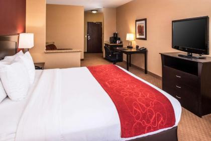 Comfort Suites Ontario Airport Convention Center - image 14