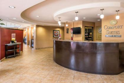 Comfort Suites Ontario Airport Convention Center - image 5