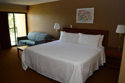 Ontario Airport Inn - image 14