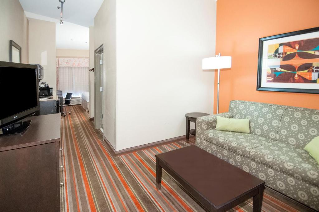 Holiday Inn Opelousas an IHG Hotel - image 7