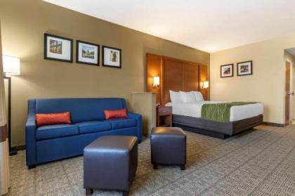 Comfort Inn & Suites Orangeburg - image 10