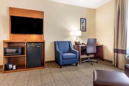 Comfort Inn & Suites Orangeburg - image 12