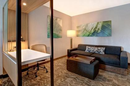 SpringHill Suites by Marriott Orangeburg - image 15