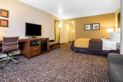 Comfort Inn & Suites Orem - Provo - image 7