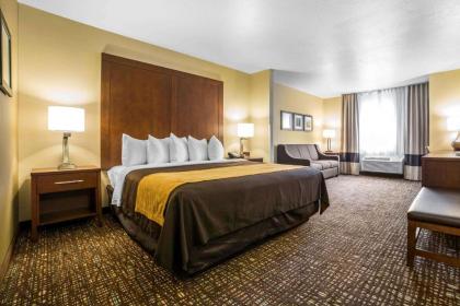 Comfort Inn & Suites Orem - Provo - image 8