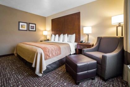 Comfort Inn & Suites Orem - Provo - image 9